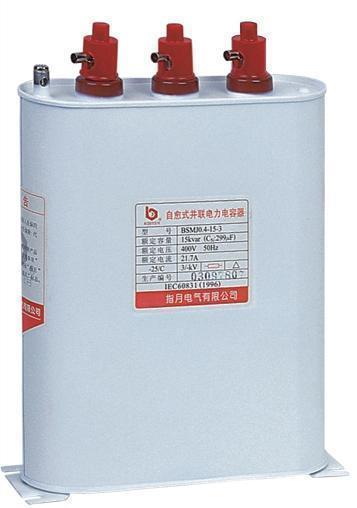 電容器保護裝置 電容器保護裝置